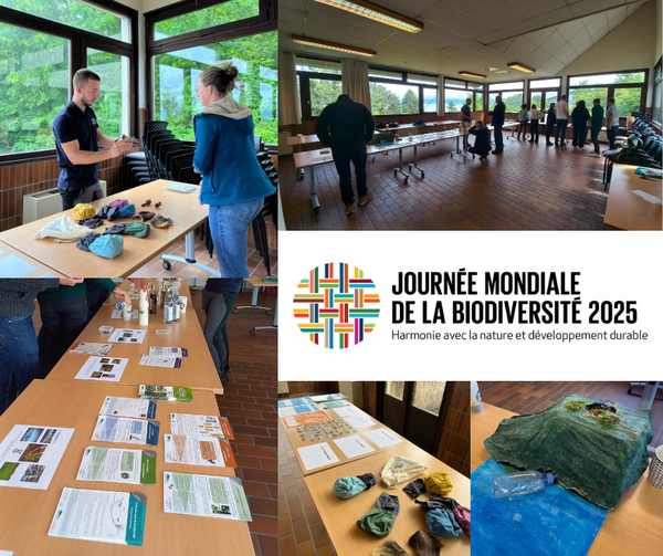 journée mondiale de la biodiversité 2025 montage